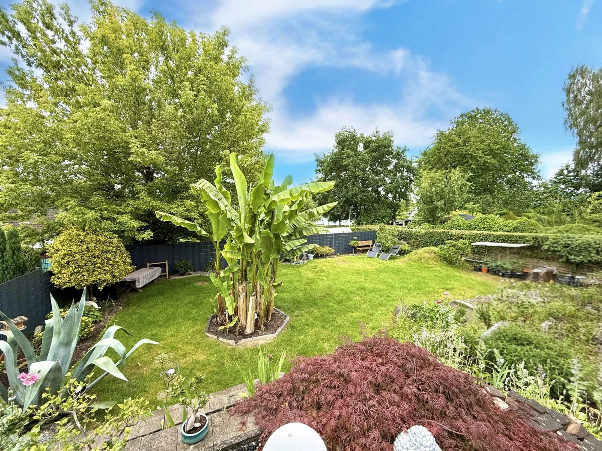 Blick von der Terrasse auf den gepflegten Garten mit großzügiger Rasenfläche
